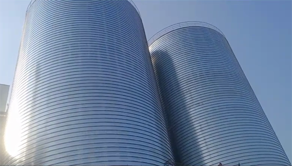 阳高2座混凝土高架卷板仓